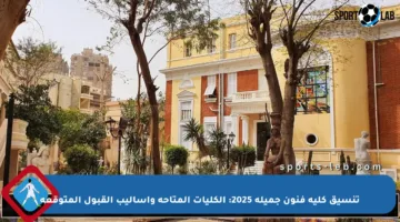 تنسيق كلية فنون جميلة 2025: الكليات المتاحة وأساليب القبول المتوقعة